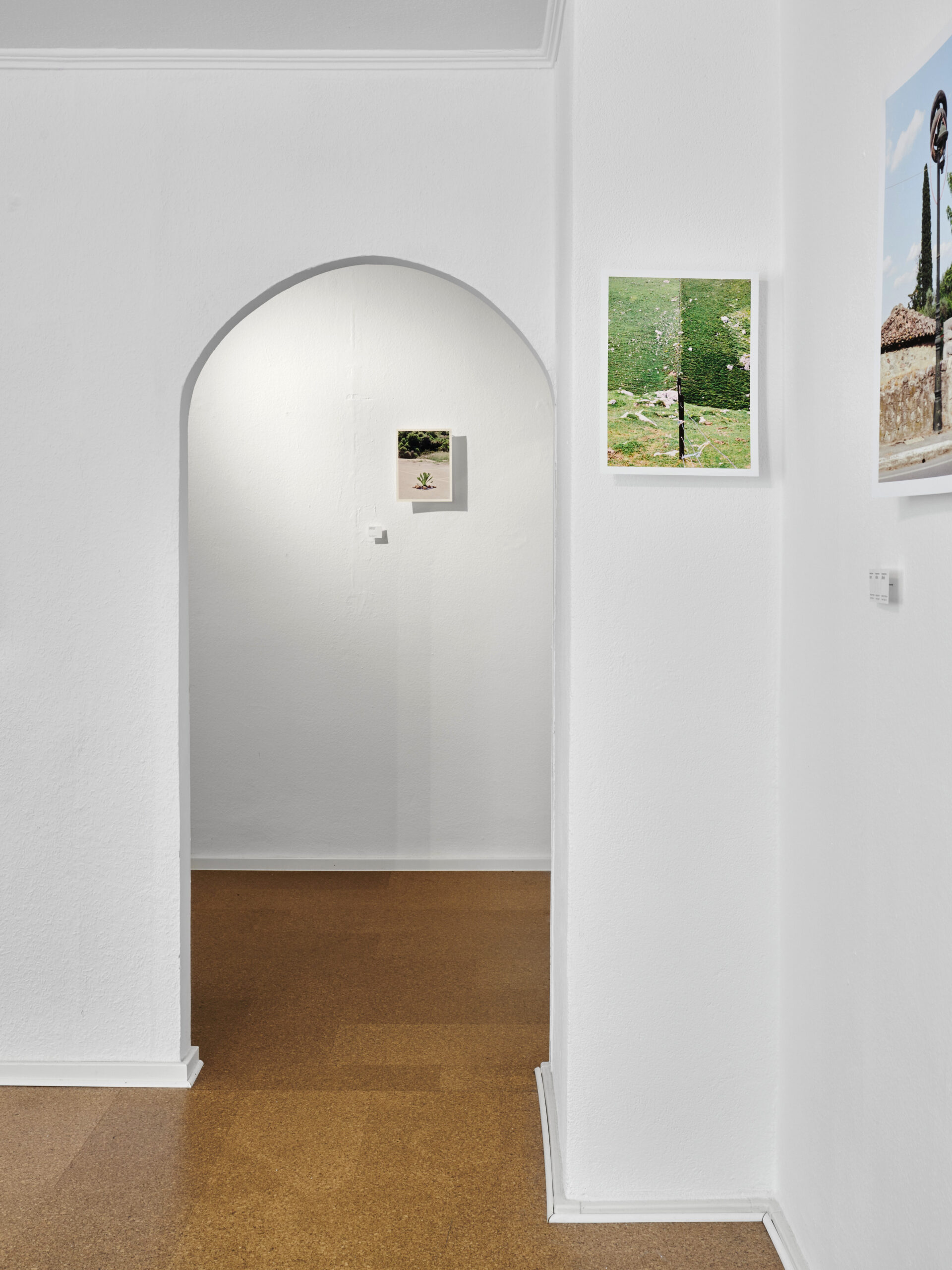 Einzelausstellung | RfO | Stuttgart | Ausstellungsansicht